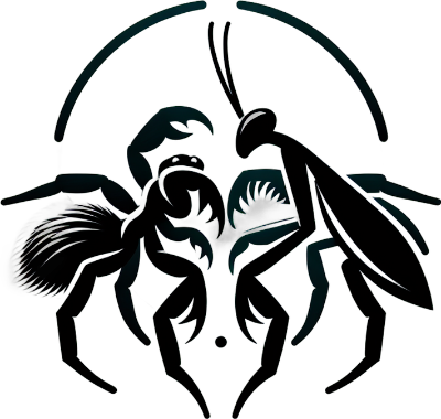 insectsinside.fr